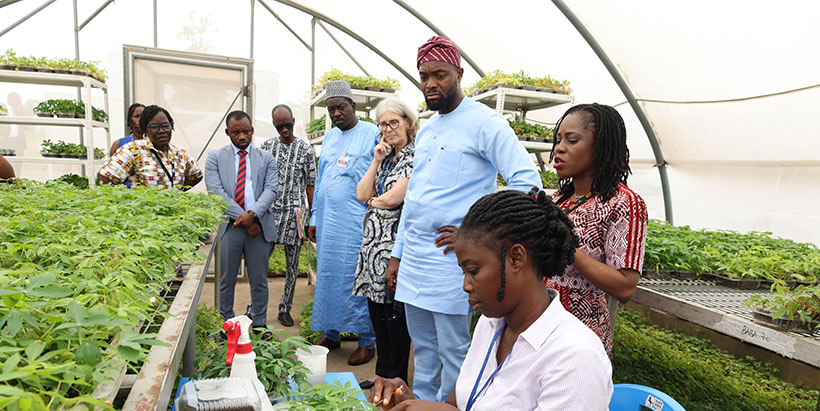 Tijani visits the Semi-Autotrophic Hydroponics (SAH) cassava greenhouse, as he tours IITA facilities