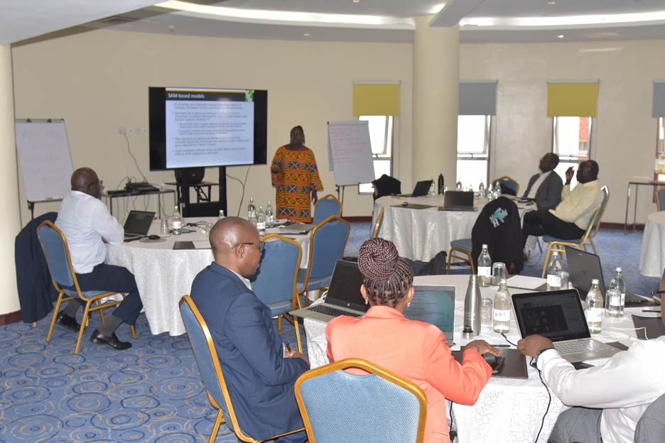Juneweenex Mbuthia (IFPRI), training KIPPRA & KRA technical staff. Photo Credit: KRA Communication.