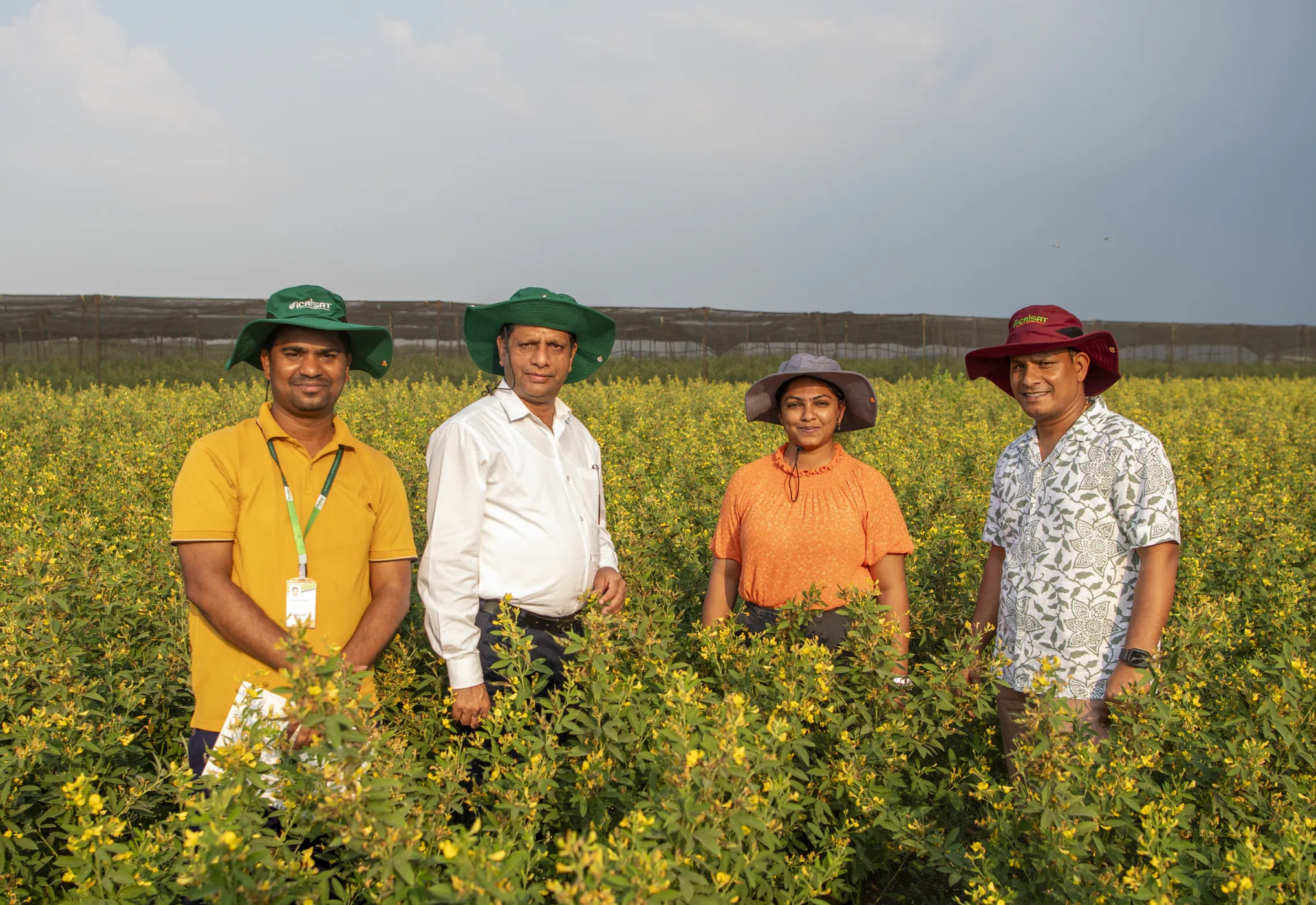 Dr Himanshu Pathak, Director General of ICRISAT (second from left), flanked by Senior Scientist-Pigeonpea Breeding, Dr Prakash Gangashetty (far right), Associate Scientist Dr Shruthi Beliappa (center right), and (far left) Associate Manager Naresh Bomma in the summer-adapted pigeonpea field.