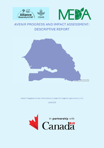 AVENIR progress and impact assessment: Descriptive report