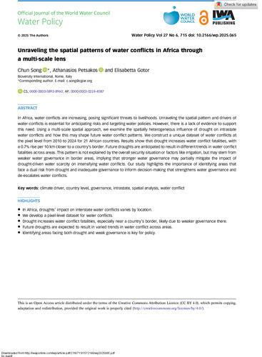Unraveling the spatial patterns of water conflicts in Africa through a multi-scale lens