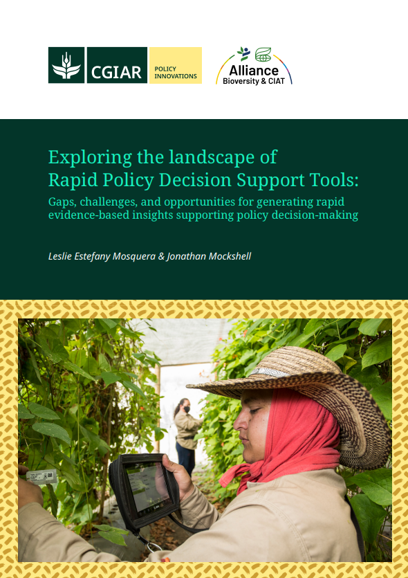 Exploring the landscape of Rapid Policy Decision Support Tools: Gaps, challenges, and opportunities for generating rapid evidence-based insights supporting policy decision-making