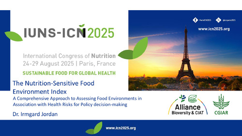 The nutrition-sensitive food environment index: A comprehensive approach to assessing food environments in association with health risks for policy decision-making