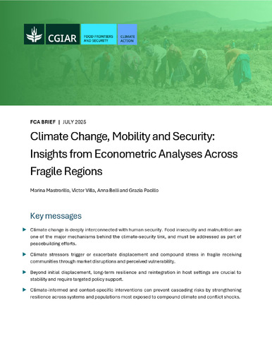 Climate change, mobility and security: Insights from econometric analyses across fragile regions