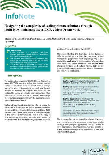 Navigating the complexity of scaling climate solutions through multi-level pathways: The AICCRA meta framework