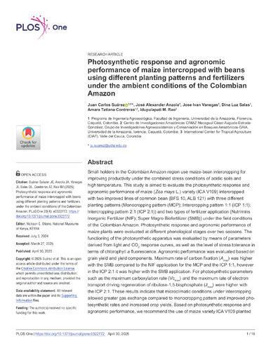 Photosynthetic response and agronomic performance of maize intercropped with beans using different planting patterns and fertilizers under the ambient conditions of the Colombian Amazon