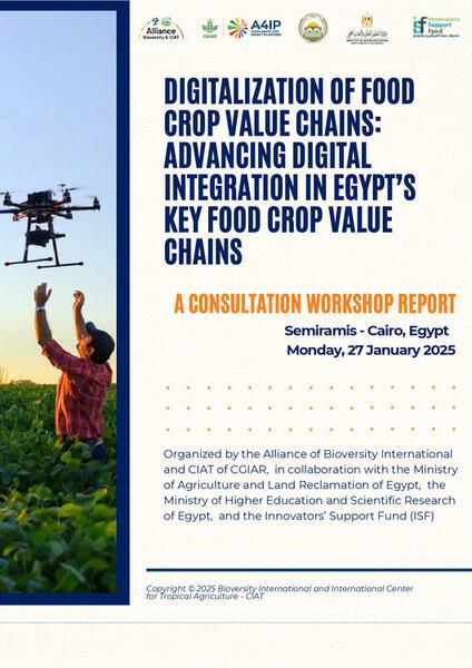 Digitalization of food crop value chains: Advancing digital integration in Egypt’s key food crop value chains