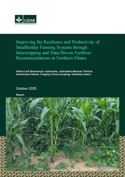 Improving the resilience and productivity of smallholder farming systems through intercropping and data-driven fertilizer recommendations in Northern Ghana