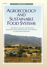 Lock-in and power in agrifood systems - a literature review and analytical framework