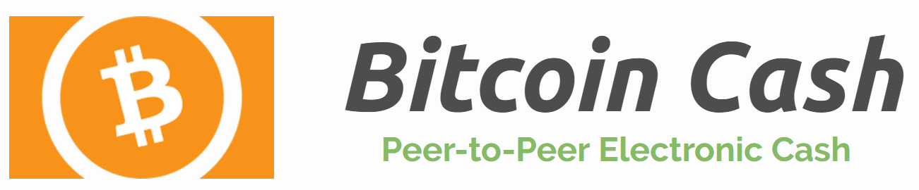 track bitcoin cash bch transfer