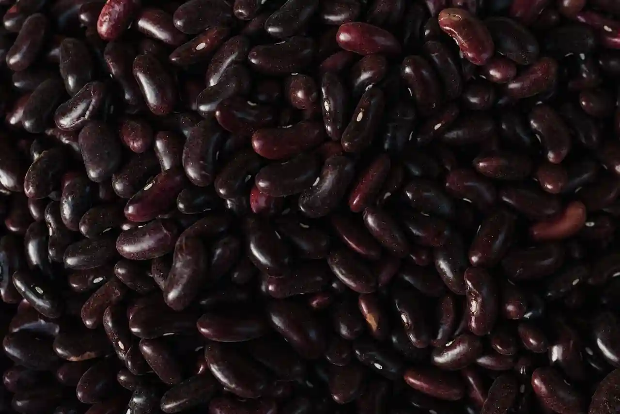 black beans.webp