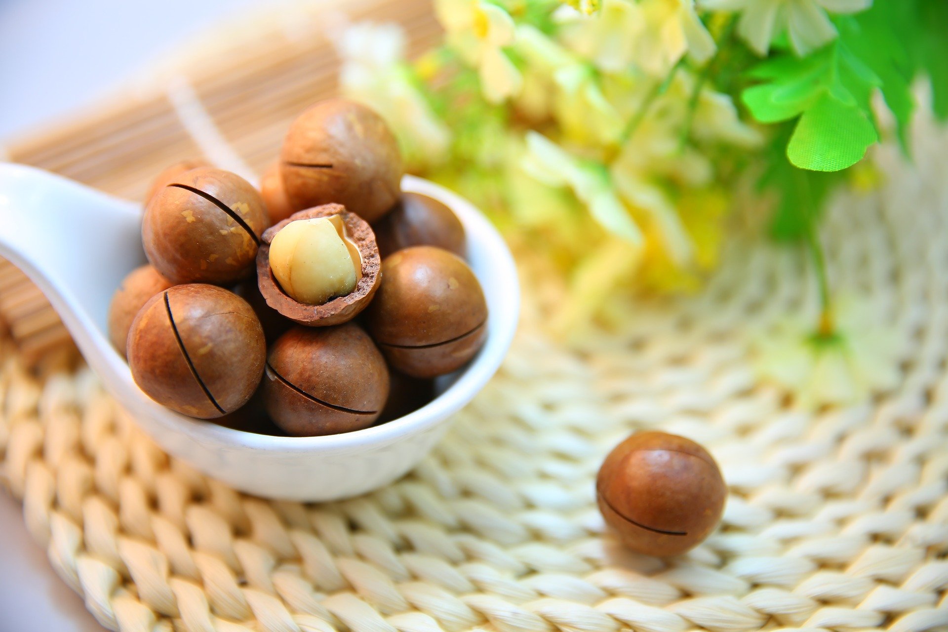 macadamia-nuts-1098170_1920