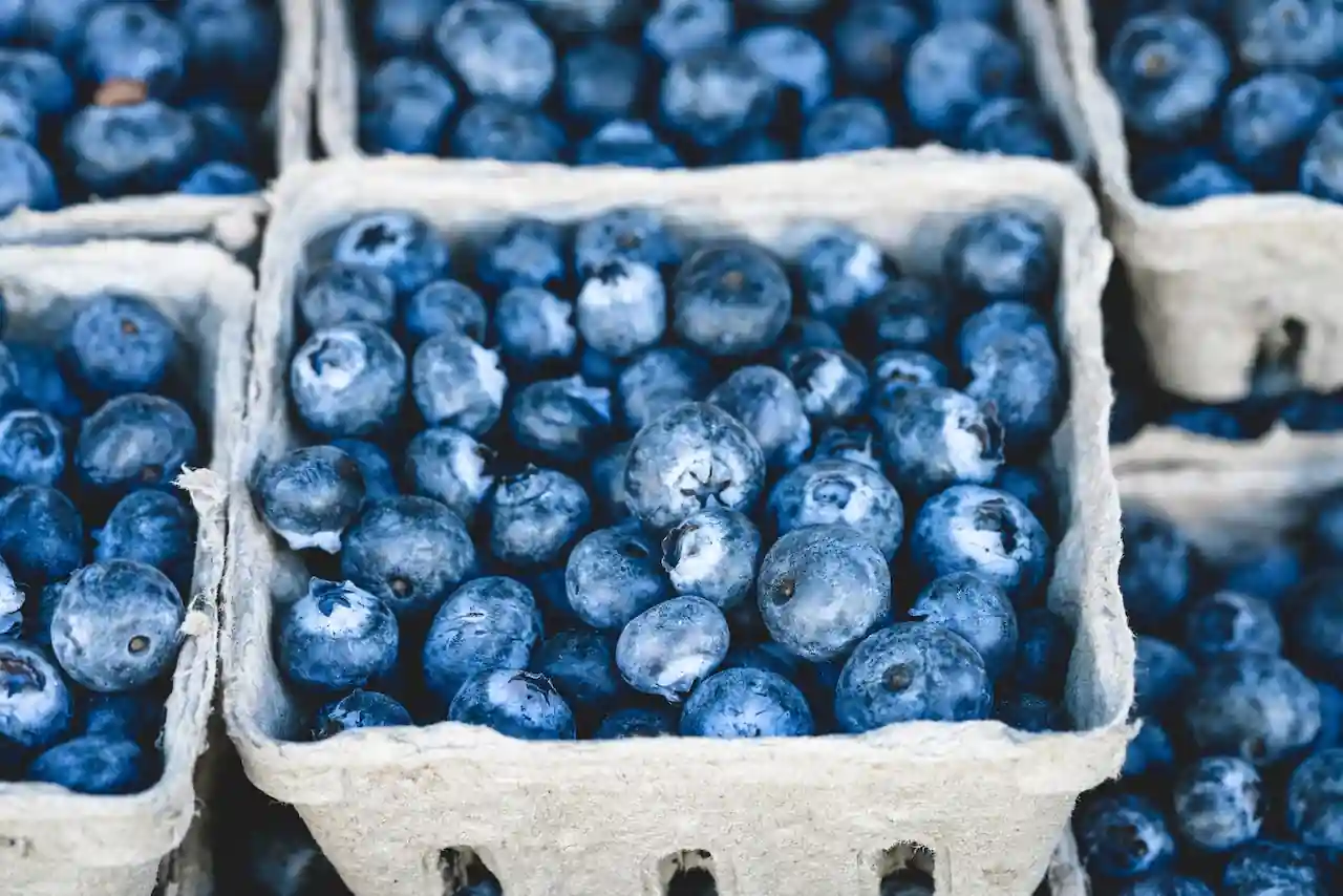 blueberry punnet.webp