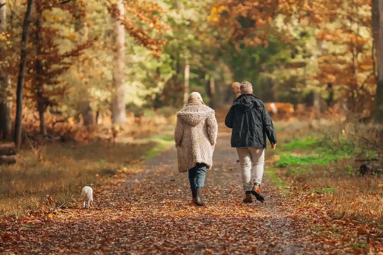 couple walking.webp