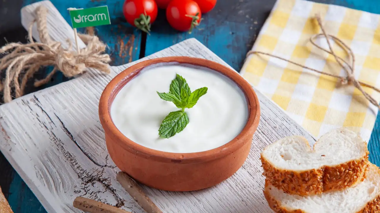 greek yoghurt.webp