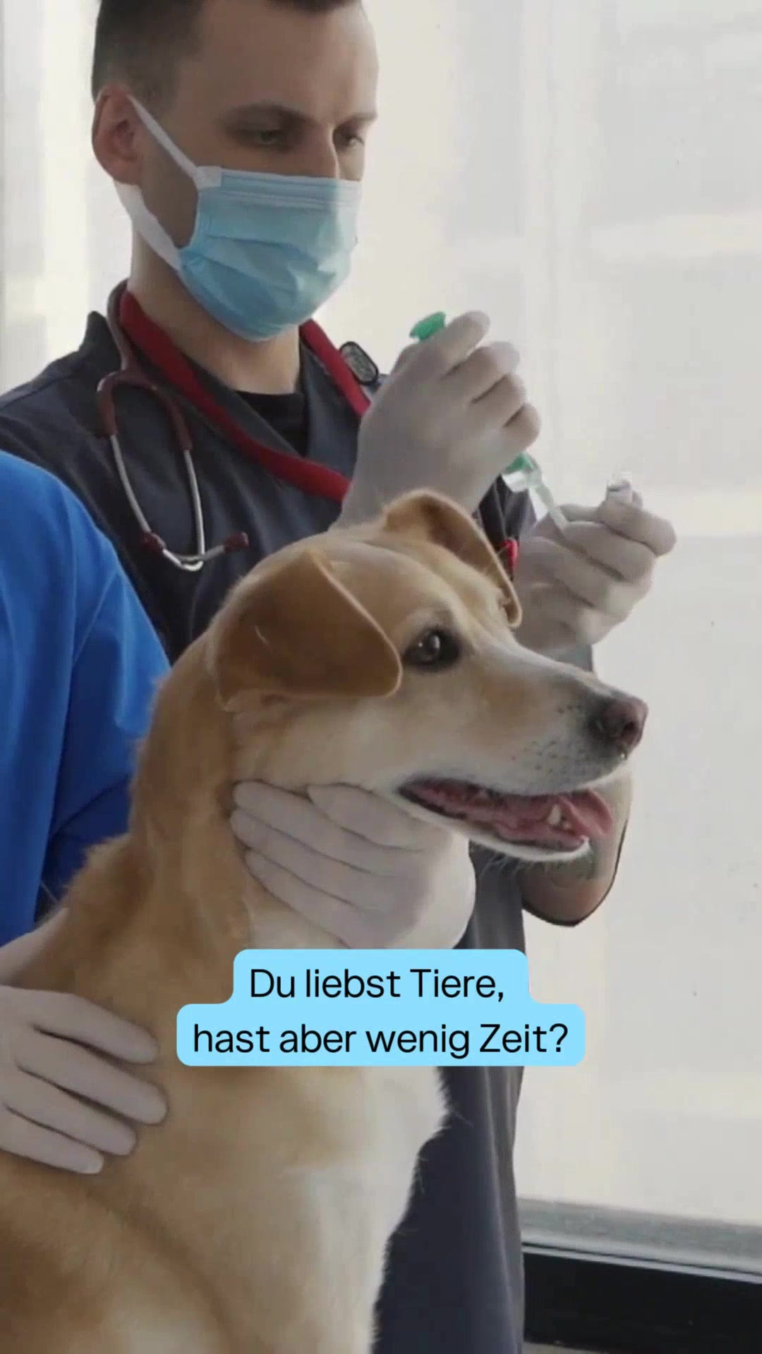Vorschau der Challenge 🐕 50 gute Taten für Tiere