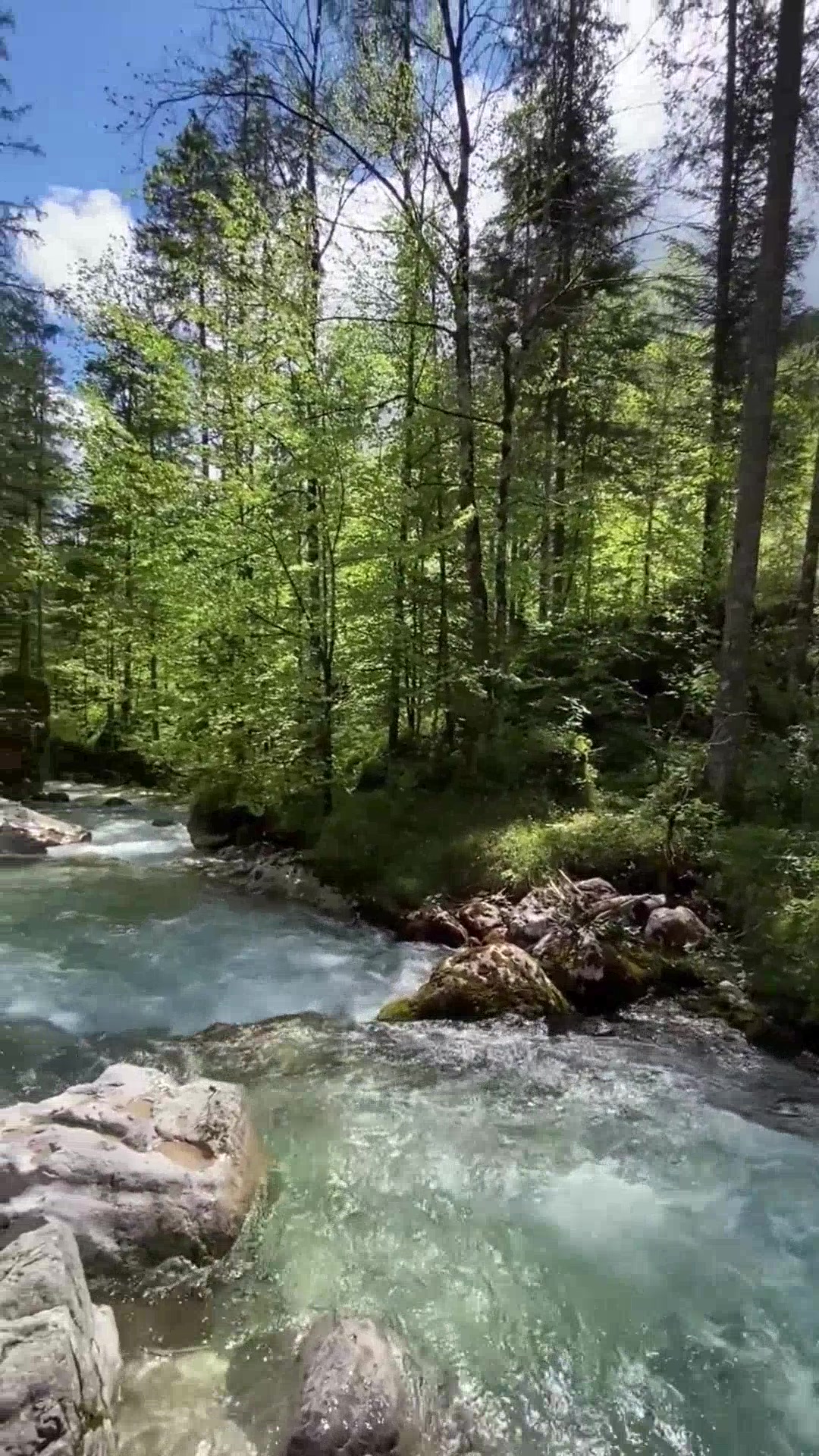 Vorschau der Challenge 🌳 Entdecke die Natur