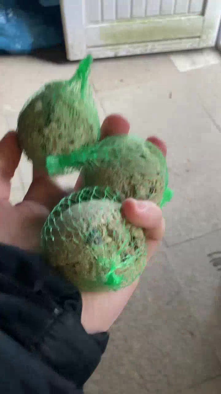 Vorschau der Challenge 🐦 Füttere Vögel