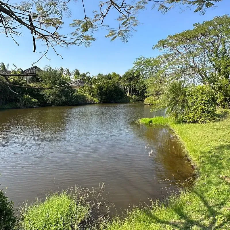 3 Scenic Plots Surrounding a Lake in Hin Lek Fai