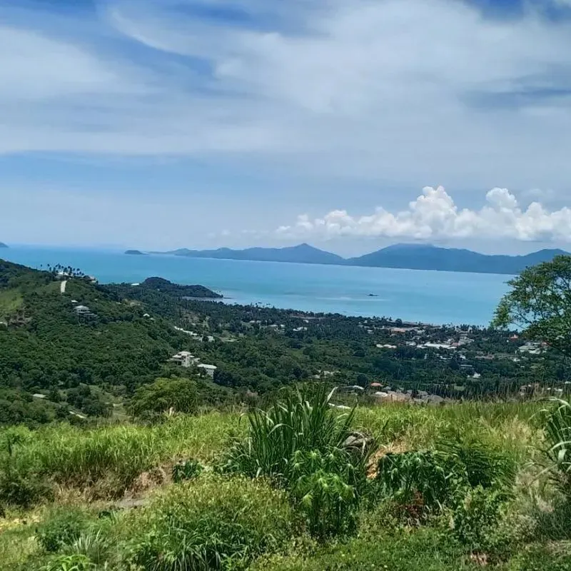 3 Rai Sea View Land in Bo Phut Hills