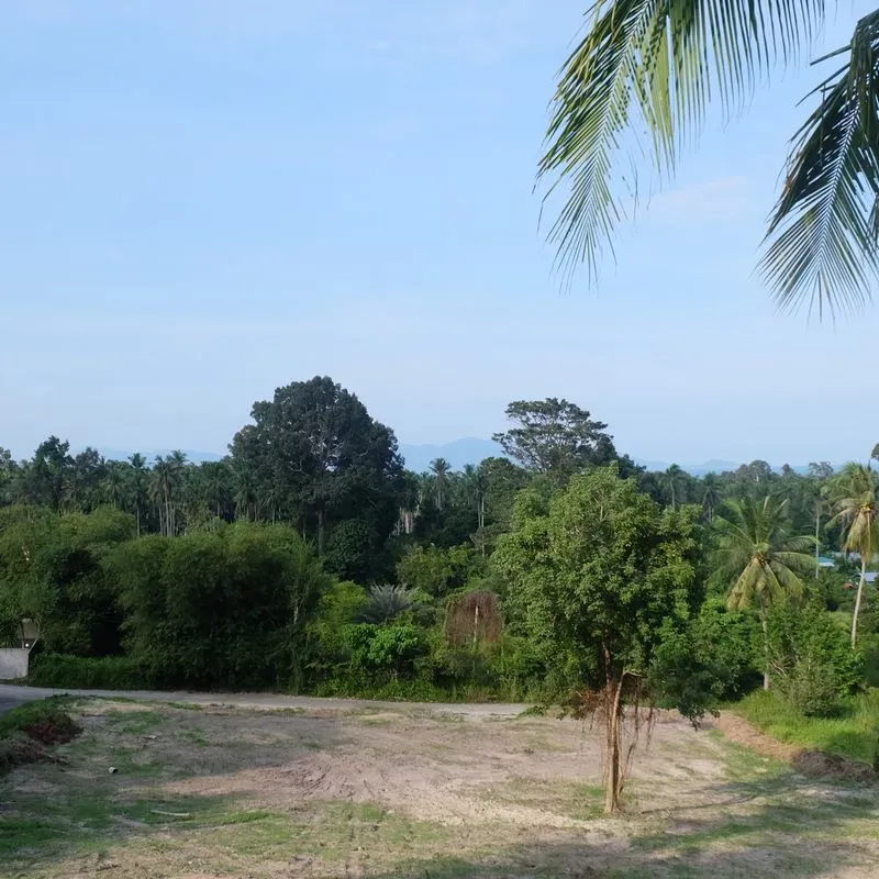 4,212 sqm Land Near Maenam Beach