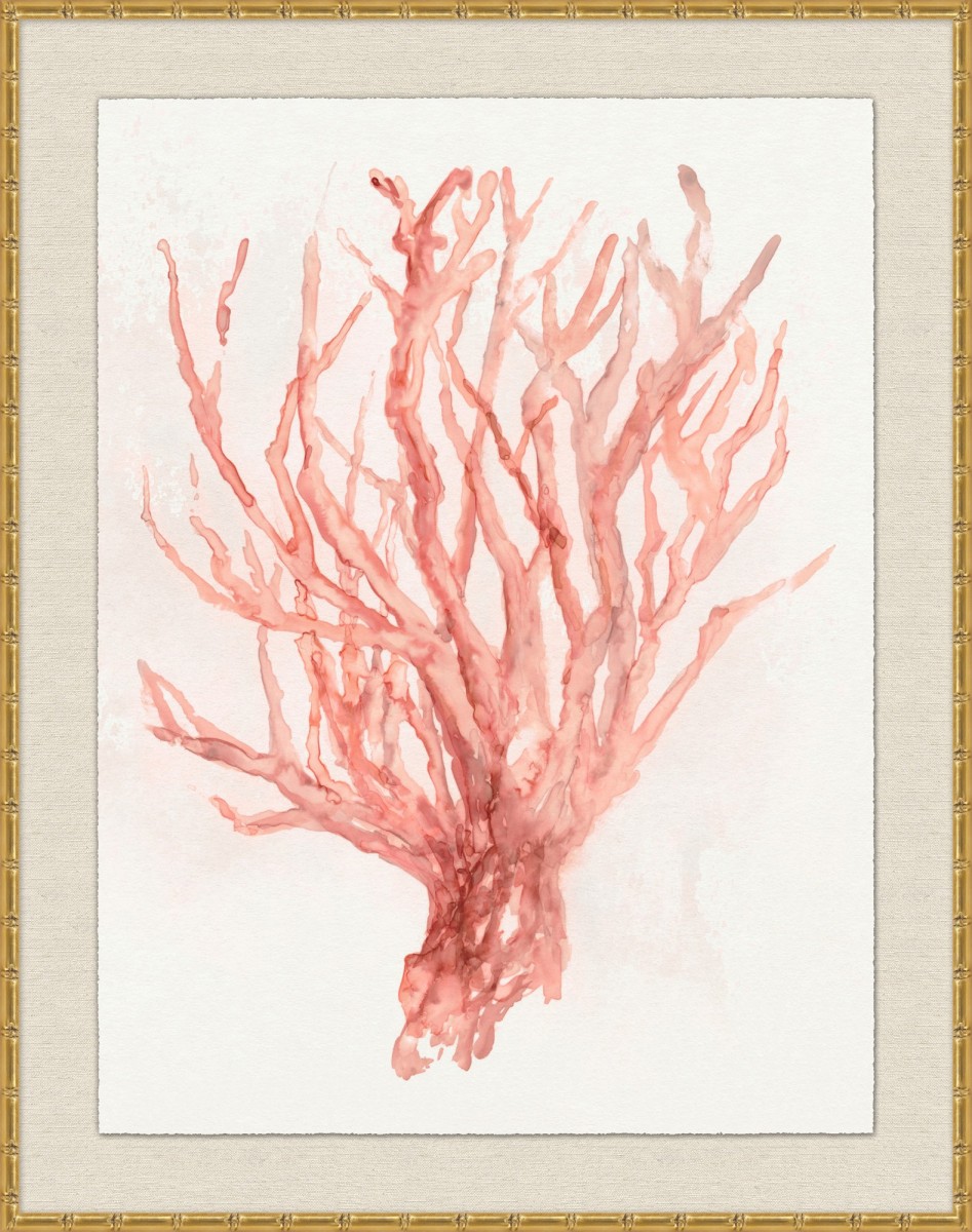 Grand Blush Coral 2