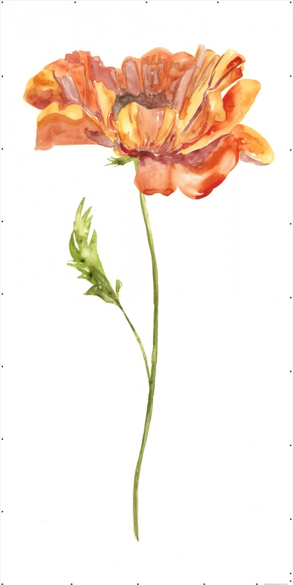 Tall Orange Flower 1 | Highlight image