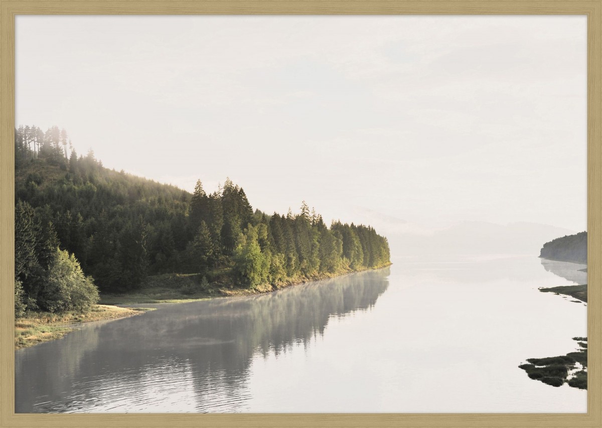 Lucent Reflection 1 | Highlight image