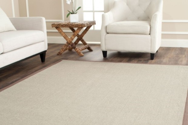 Natural Fiber Rug - NF441F Taupe / Light Brown | Highlight image 3