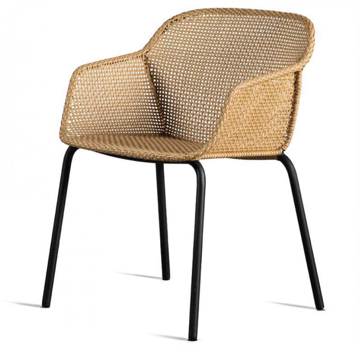 Bella Dining Armchair | Highlight image