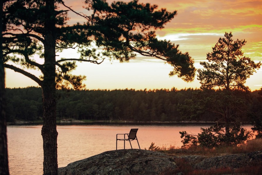 Park Life Low Dining Armchair | Highlight image 1