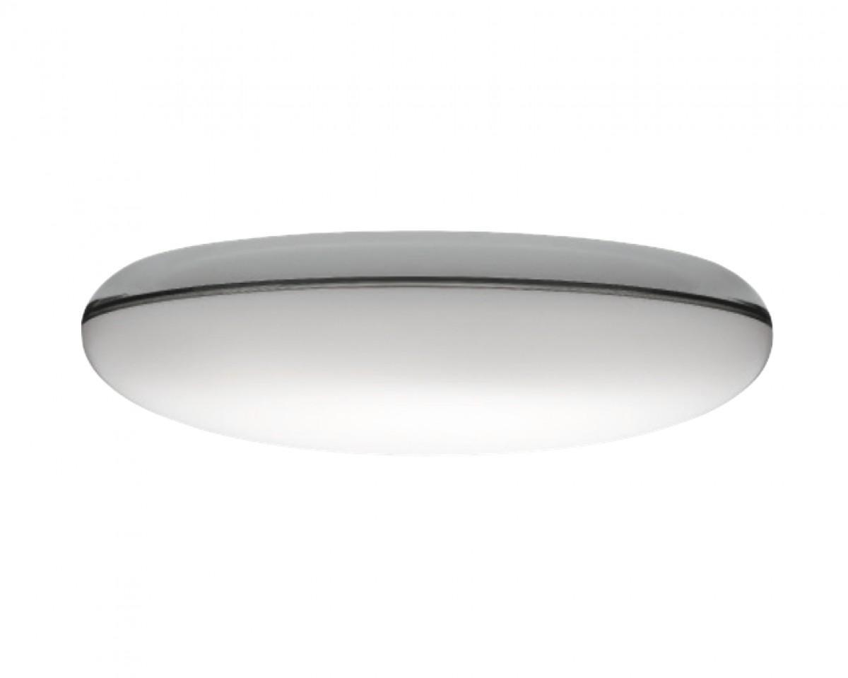 Silverback Ceiling/Wall Lamp