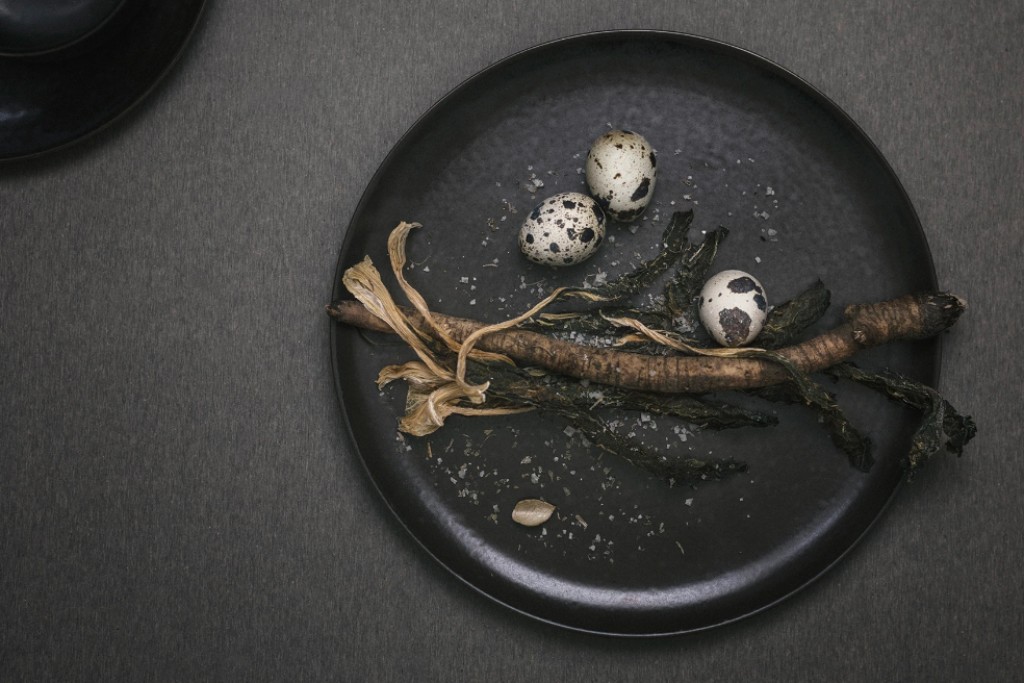 New Norm Dinnerware Plate/Dish | Highlight image 1