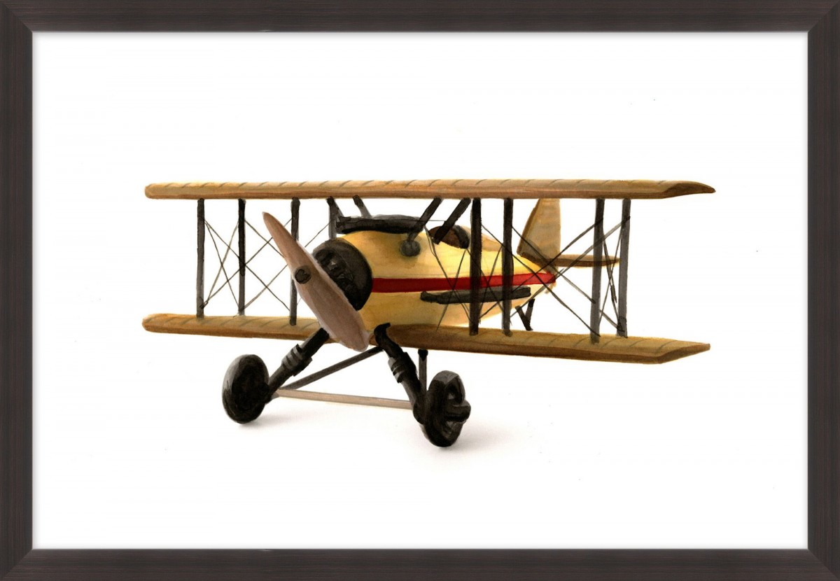 Bi Plane 3