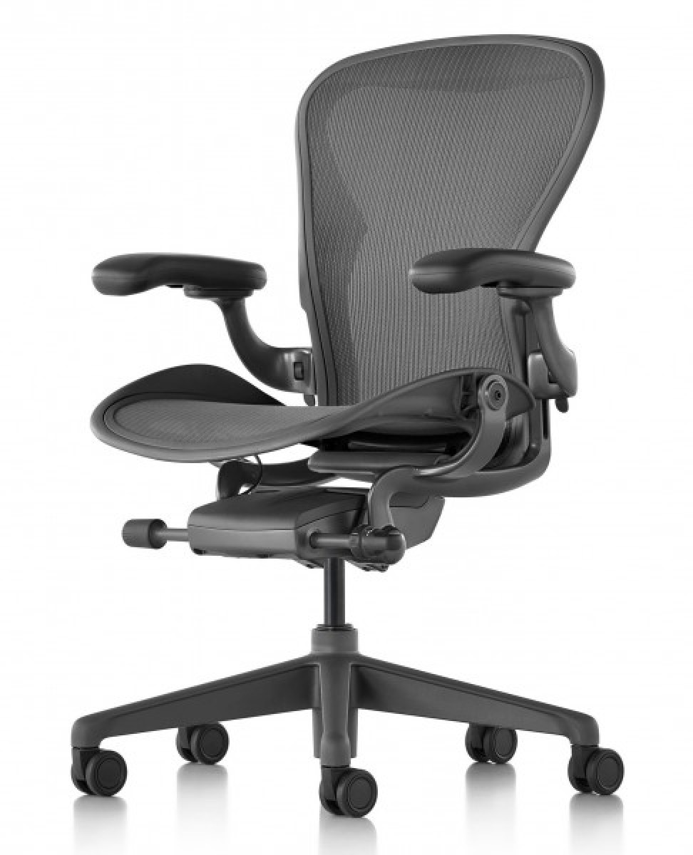 Aeron Chair, Basic Back Support