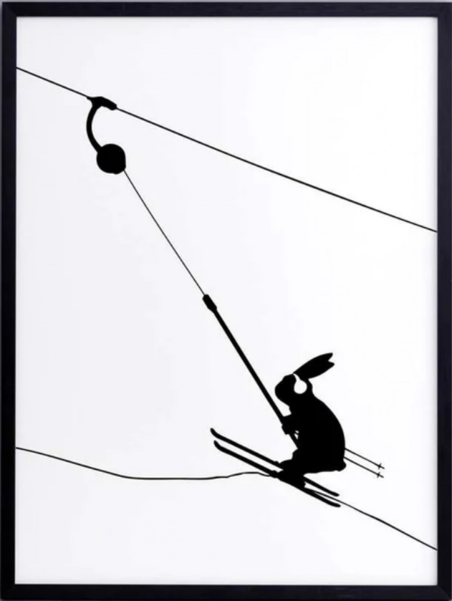 Button Lift Rabbit with Aluminium Frame