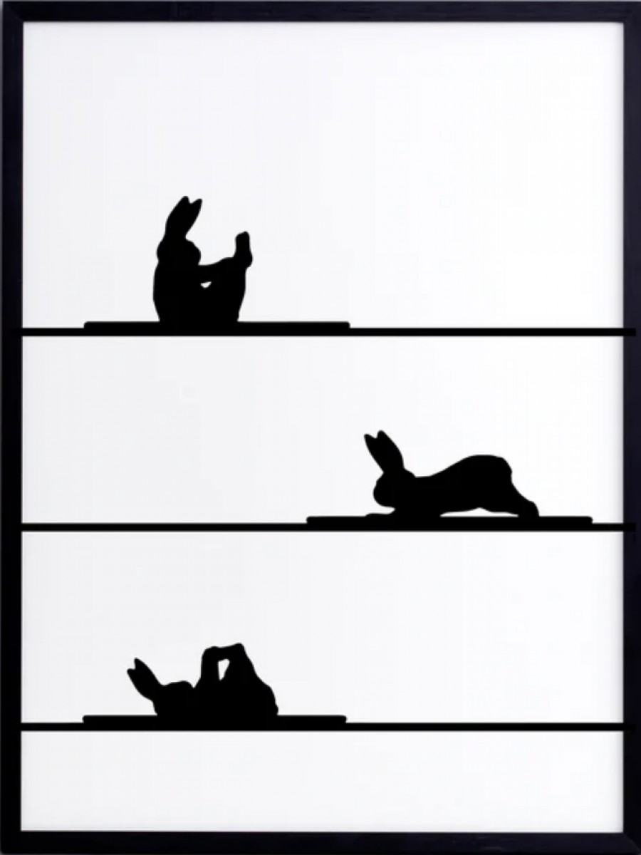 Pilates Rabbit Print with Aluminium Frame