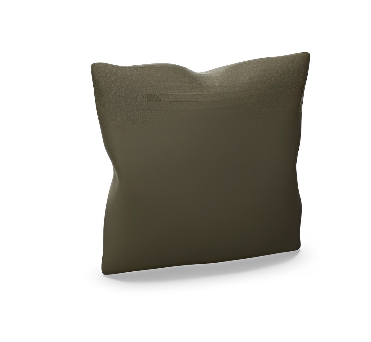 Loose Cushion