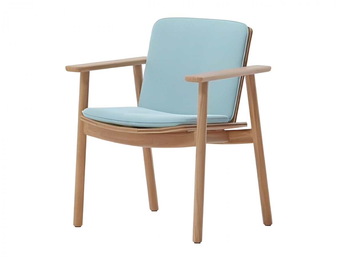 Riva Dining Armchair, with Seat and Back Cushion