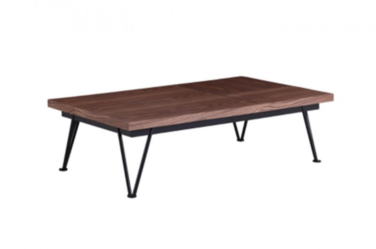 Coffee Table (120x70x28)