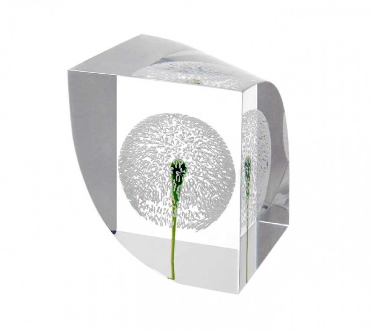 Paperweights 2011 - Pissenlit (Limited Edition) | Highlight image