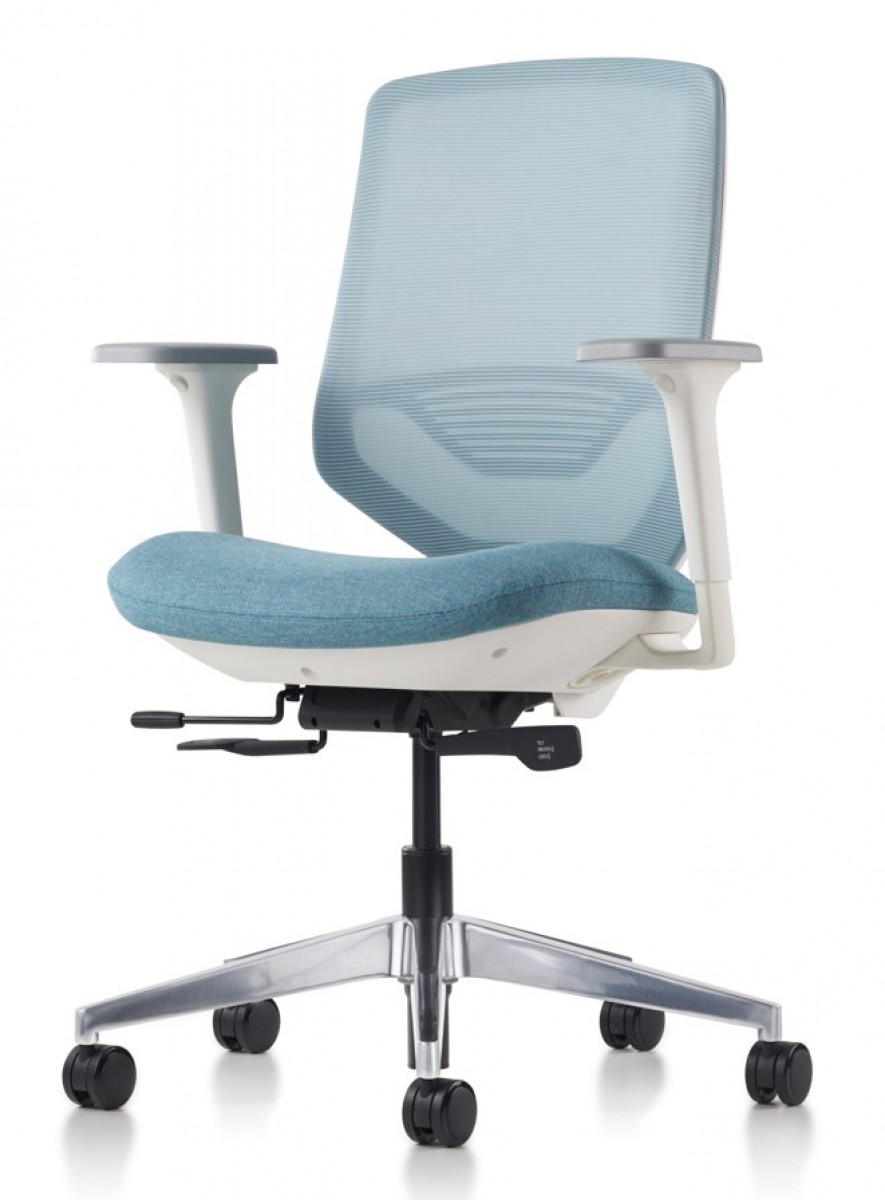 Express 2: Task Chair, 5-Star Base, Mesh Back