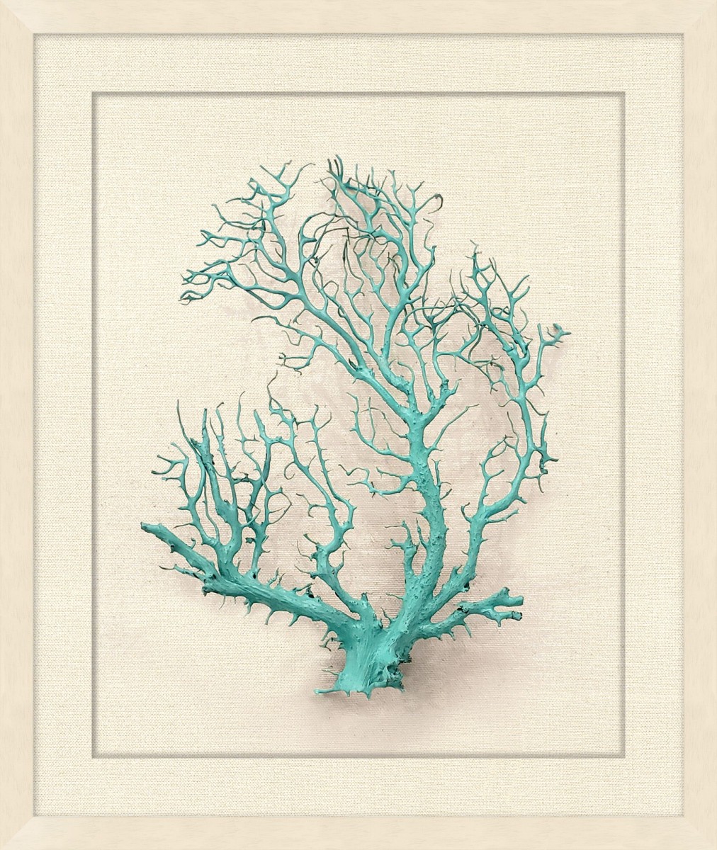 Shadowbox Sea Fan Sea Glass