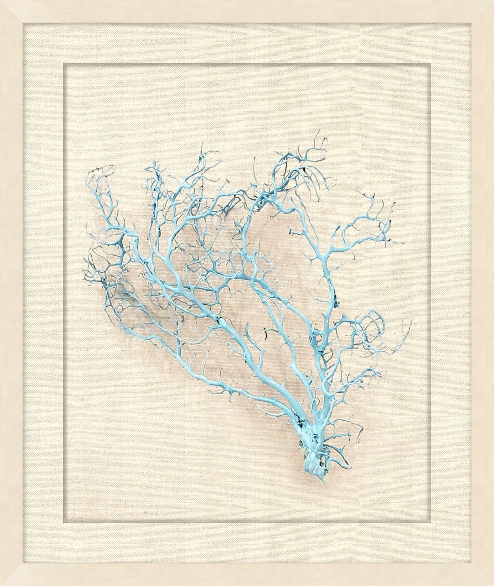 Shadowbox Sea Fan Aqua Pool