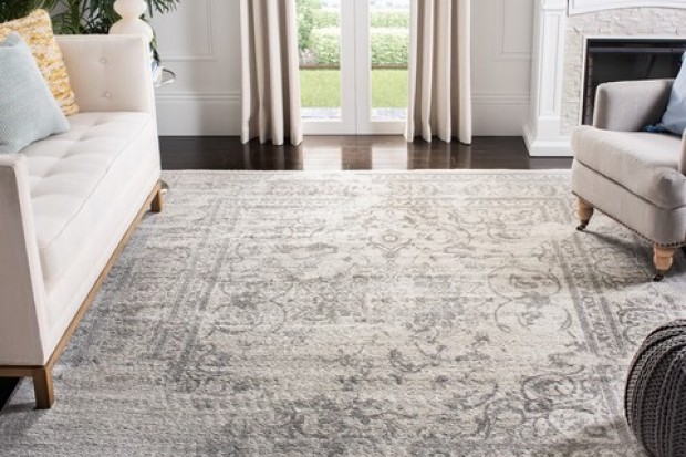 Adirondack Rug - ADR101B Ivory / Silver | Highlight image 3