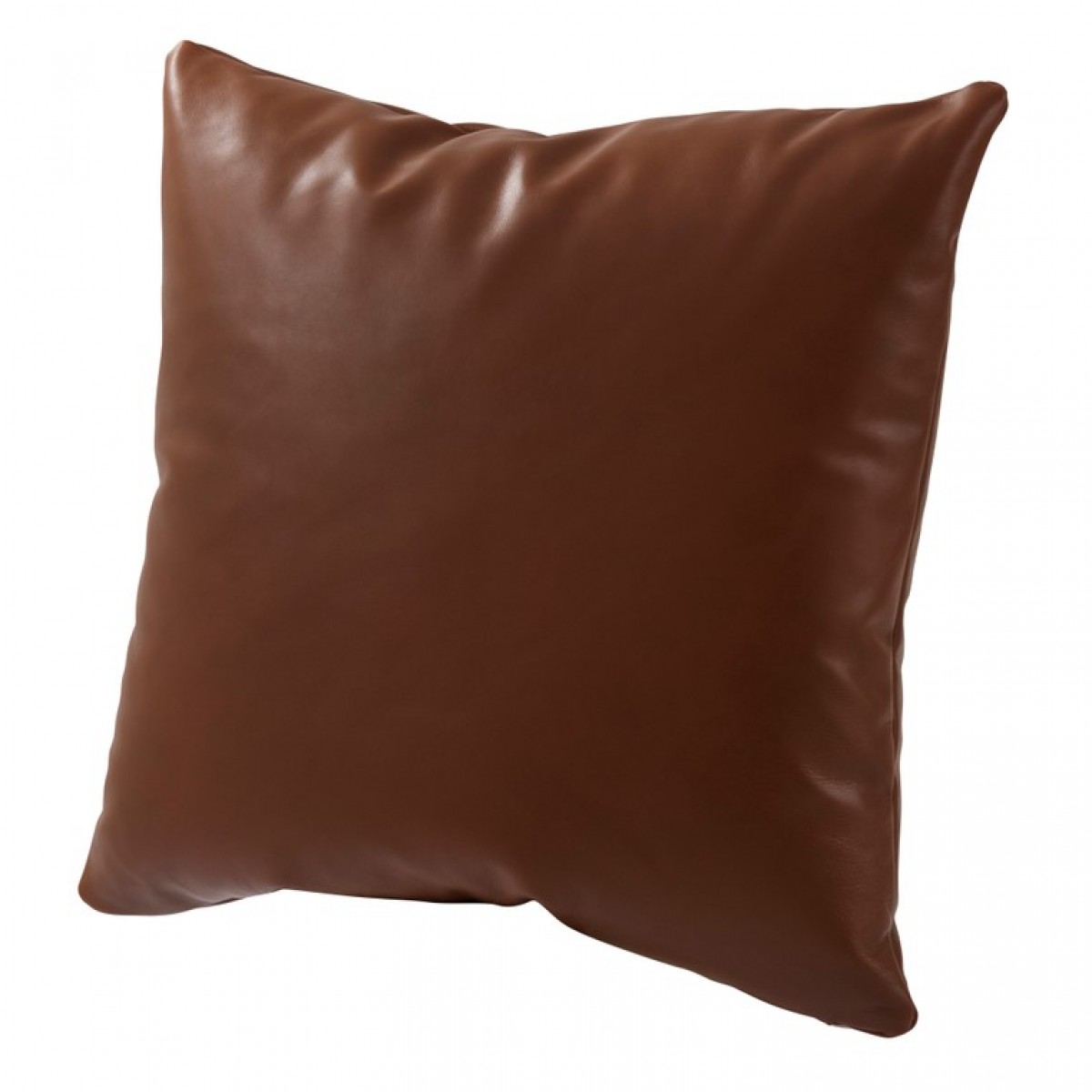 Enfold Pillow