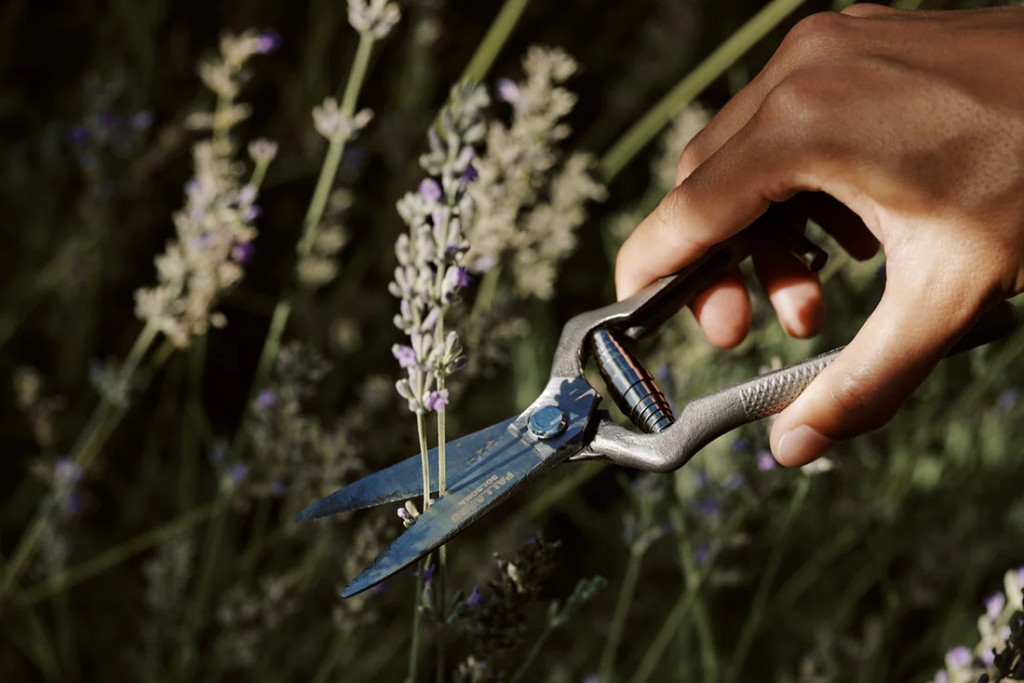 Pallares x Audo Plant Shears | Highlight image 1