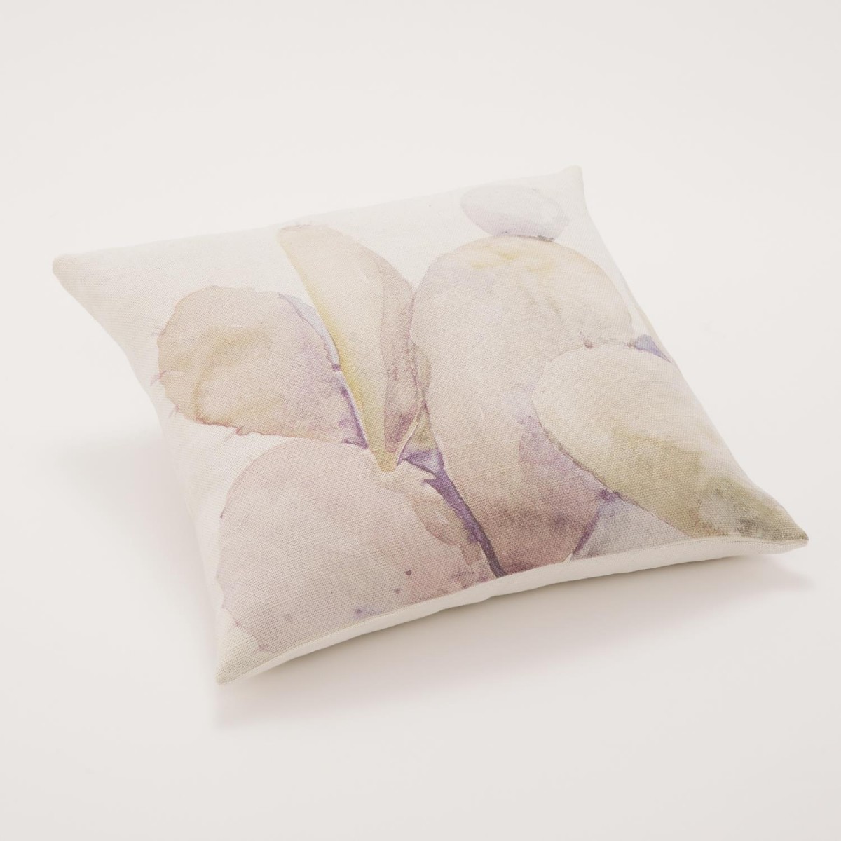 Opuntia Pillow