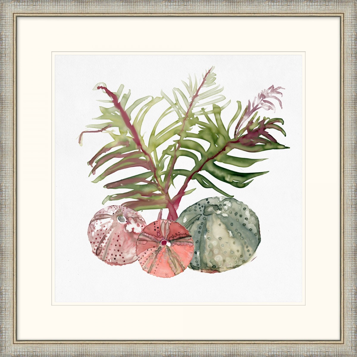 Coral Collection Study 2 | Highlight image