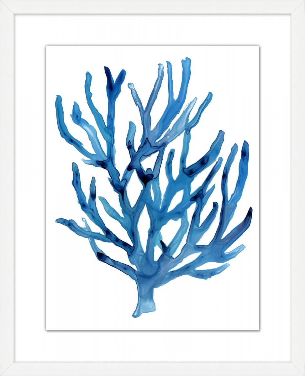 Modern Coral 3 | Highlight image